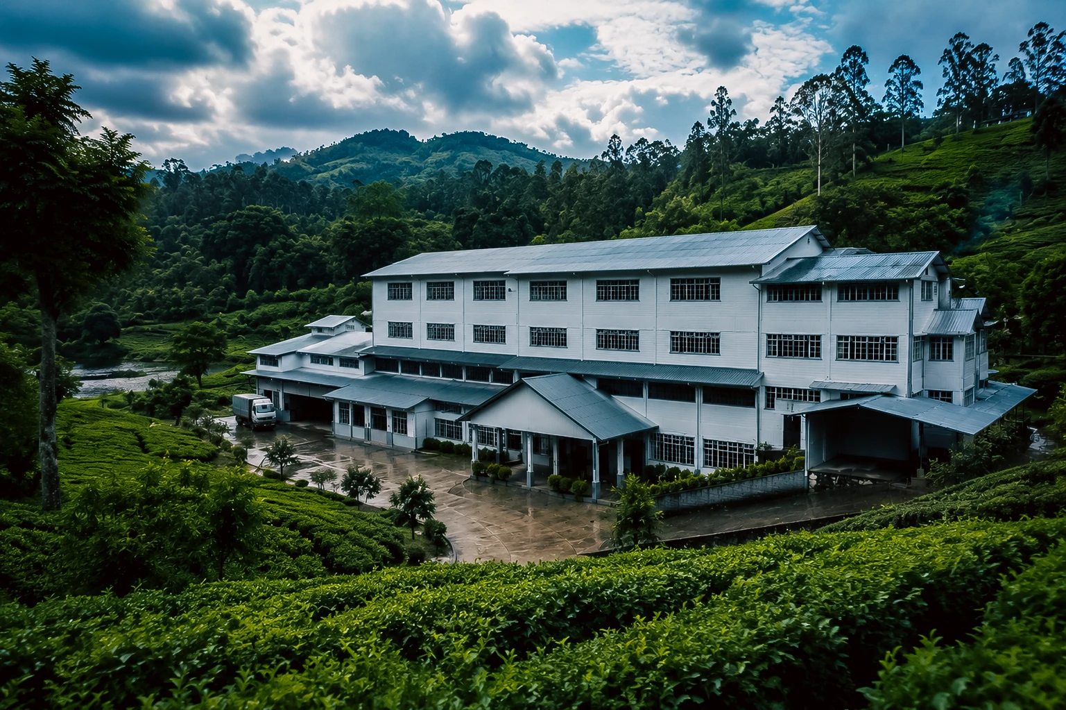 Tea factory and estate